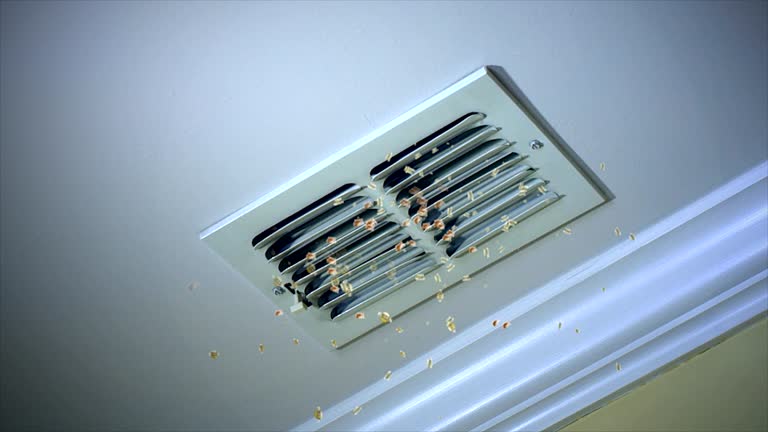 Best Professional Duct Cleaning Services  in Picacho Hills, NM
