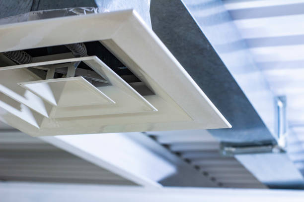 Air Duct Mold Removal in NM