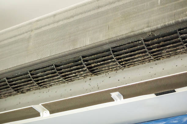 Best Affordable Duct Cleaning Services  in Picacho Hills, NM